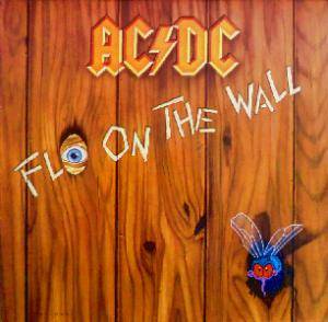 Cover: Fly on the Wall